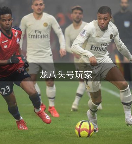 关于本站